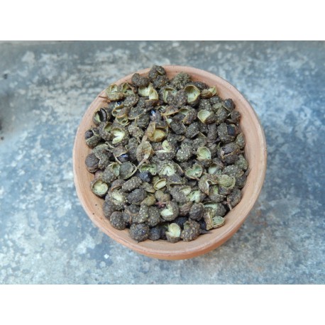 Poivre vert du Sichuan - pot de 30g - Achat, origine et cuisine